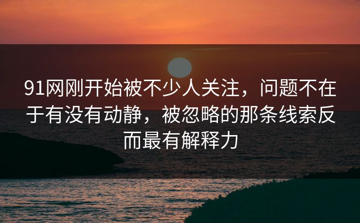 91网刚开始被不少人关注，问题不在于有没有动静，被忽略的那条线索反而最有解释力