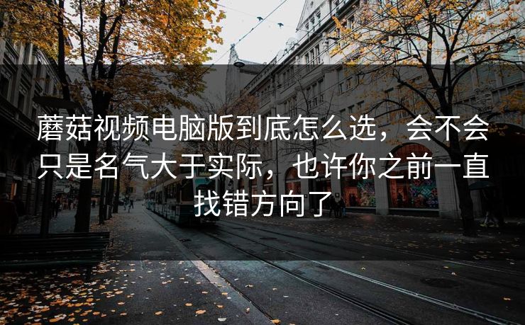 蘑菇视频电脑版到底怎么选，会不会只是名气大于实际，也许你之前一直找错方向了
