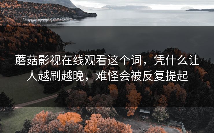 蘑菇影视在线观看这个词，凭什么让人越刷越晚，难怪会被反复提起
