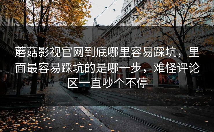 蘑菇影视官网到底哪里容易踩坑，里面最容易踩坑的是哪一步，难怪评论区一直吵个不停