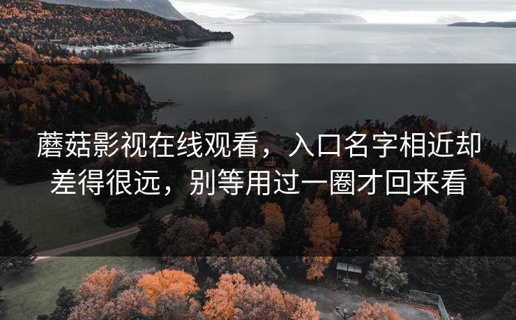 蘑菇影视在线观看，入口名字相近却差得很远，别等用过一圈才回来看