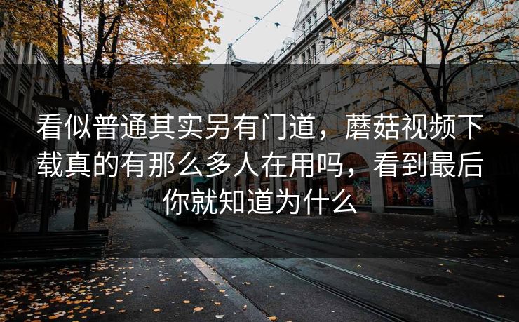 看似普通其实另有门道，蘑菇视频下载真的有那么多人在用吗，看到最后你就知道为什么