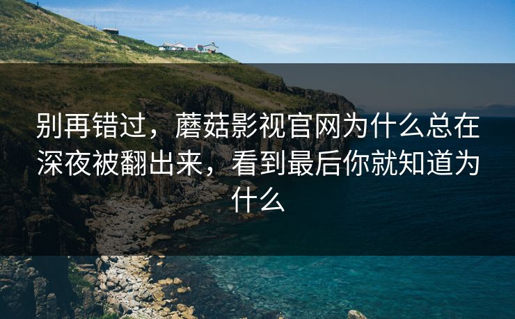别再错过，蘑菇影视官网为什么总在深夜被翻出来，看到最后你就知道为什么