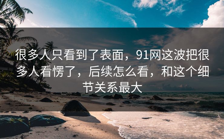 很多人只看到了表面，91网这波把很多人看愣了，后续怎么看，和这个细节关系最大