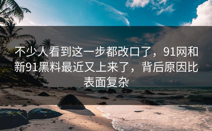 不少人看到这一步都改口了，91网和新91黑料最近又上来了，背后原因比表面复杂