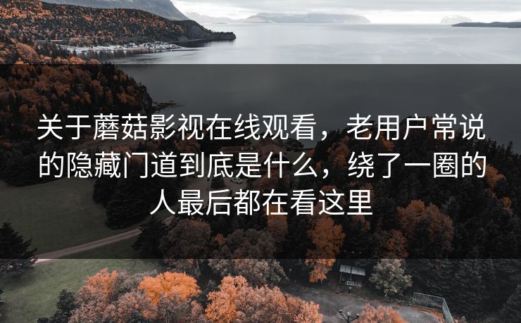 关于蘑菇影视在线观看,老用户常说的隐藏门道到底是什么,绕了一圈的人最后都在看这里 关于蘑菇影视在线观看,老用户常说的隐藏门道到底是什么,绕了一圈的人最后都在看这里