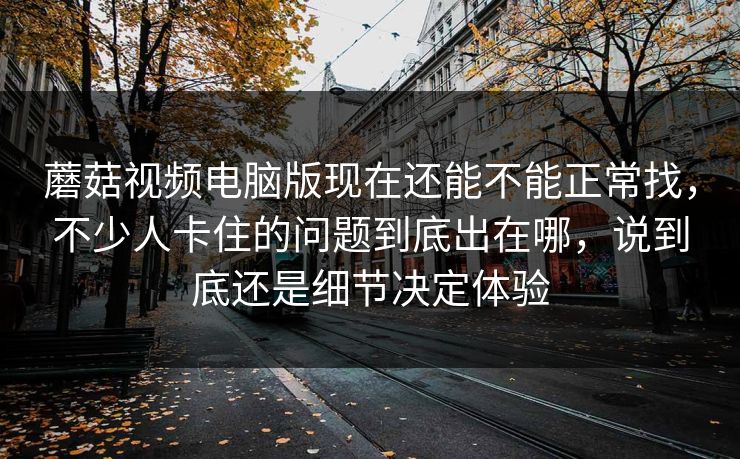 蘑菇视频电脑版现在还能不能正常找，不少人卡住的问题到底出在哪，说到底还是细节决定体验