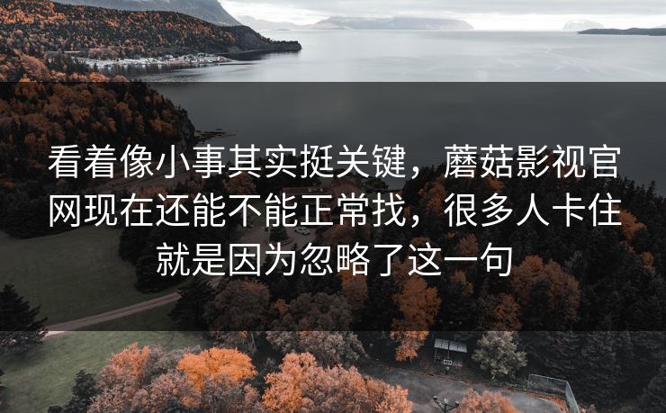 看着像小事其实挺关键，蘑菇影视官网现在还能不能正常找，很多人卡住就是因为忽略了这一句