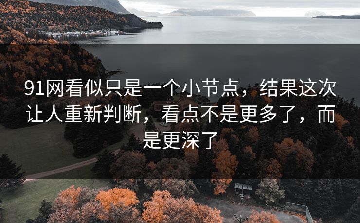 91网看似只是一个小节点，结果这次让人重新判断，看点不是更多了，而是更深了