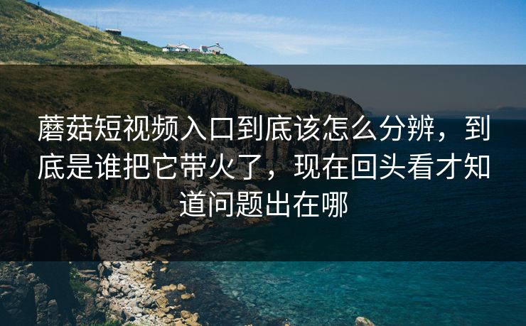 蘑菇短视频入口到底该怎么分辨，到底是谁把它带火了，现在回头看才知道问题出在哪